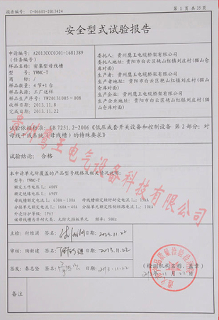 安全型式实验报告