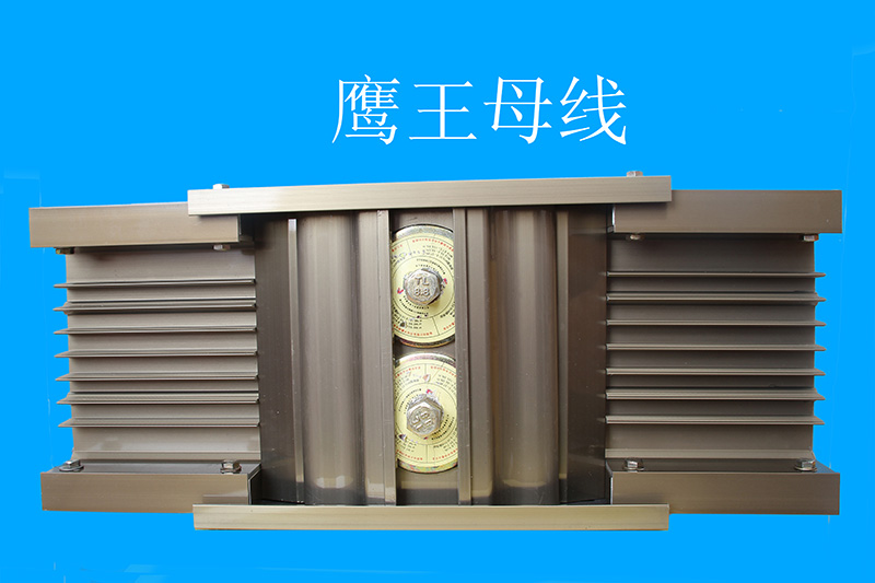 鹰王母线2.jpg