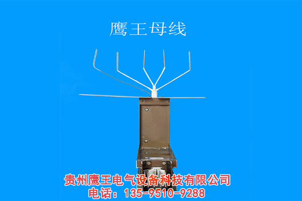 贵阳鹰王母线槽